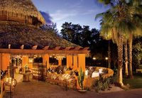 Garden of the Hotel DREAMS RESORT AND SPA - Bayahibe - Dominican Republic